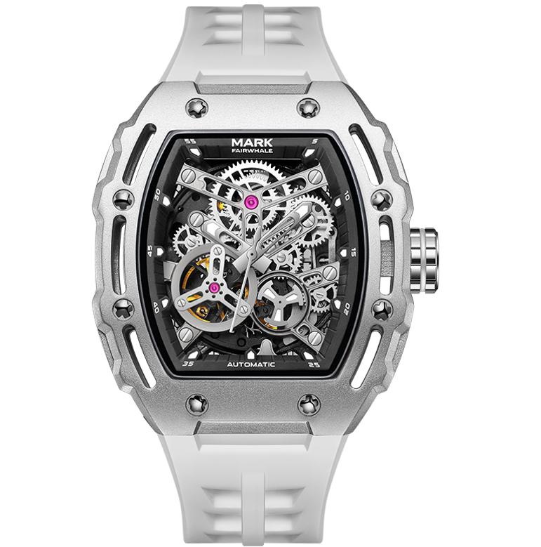 فيرويل - FW-6700-R1