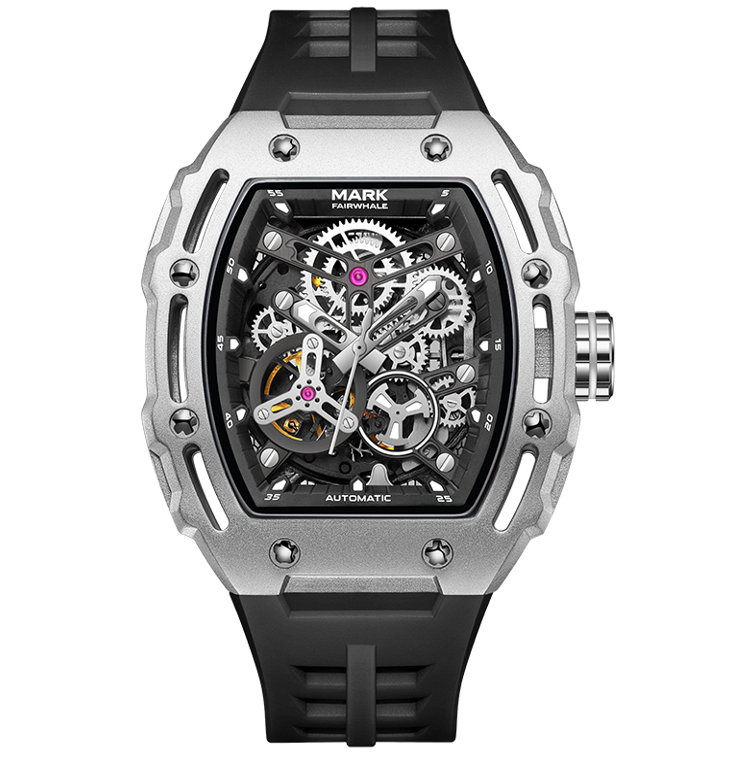 فيرويل - FW-6700-R2