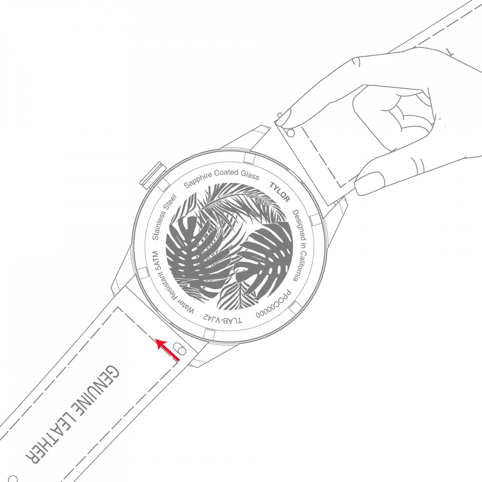 TYLOR - TLAE010 - Azzam Watches