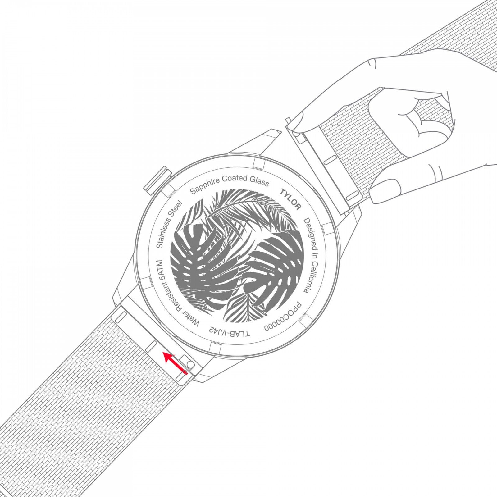 TYLOR - TLAL005 - Azzam Watches