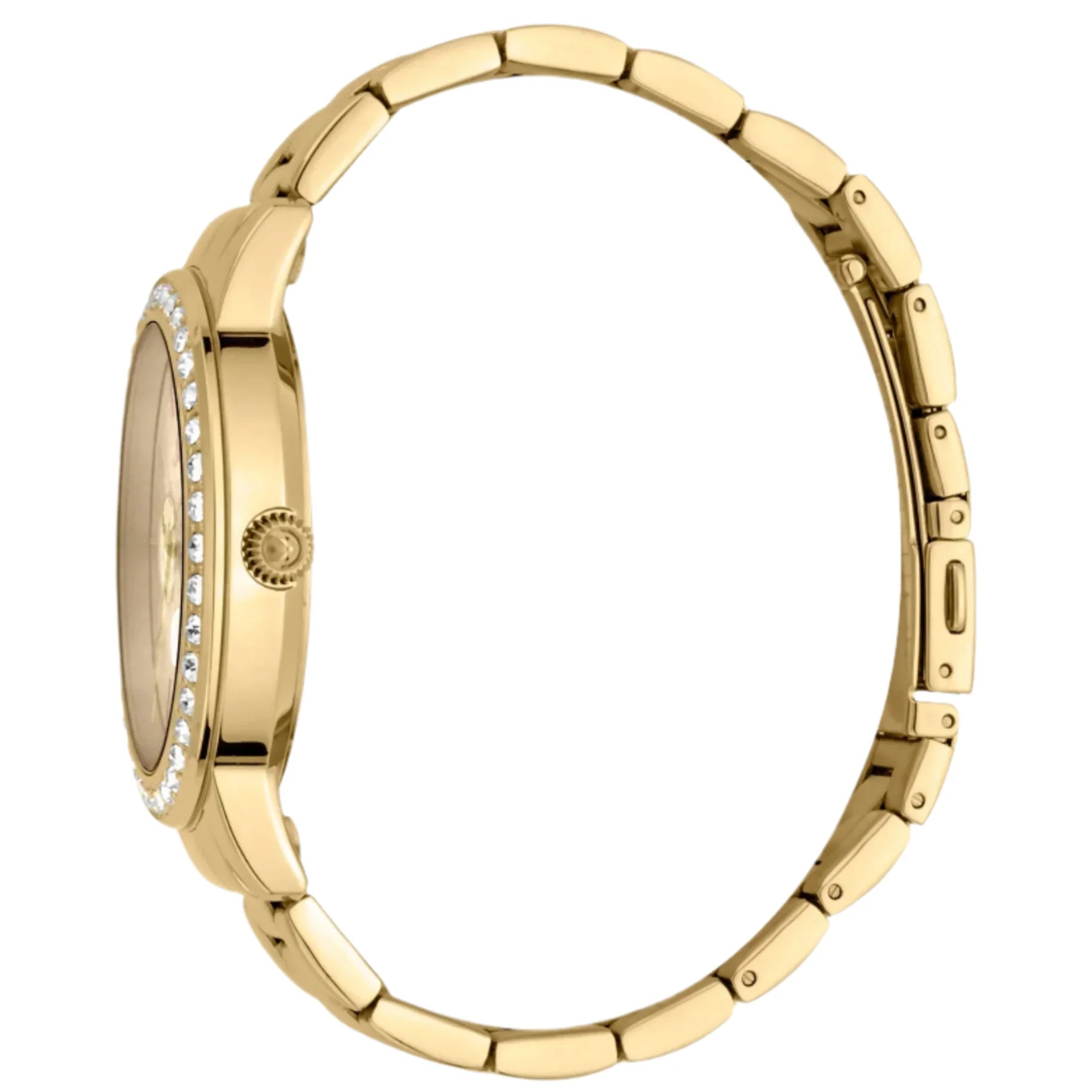 Just Cavalli - JC1L164M0075