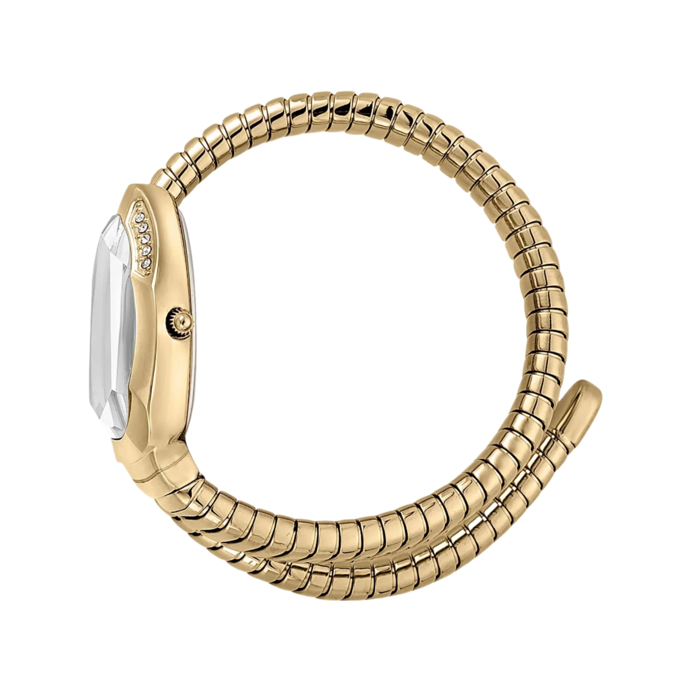 Just Cavalli - JC1L208M0035