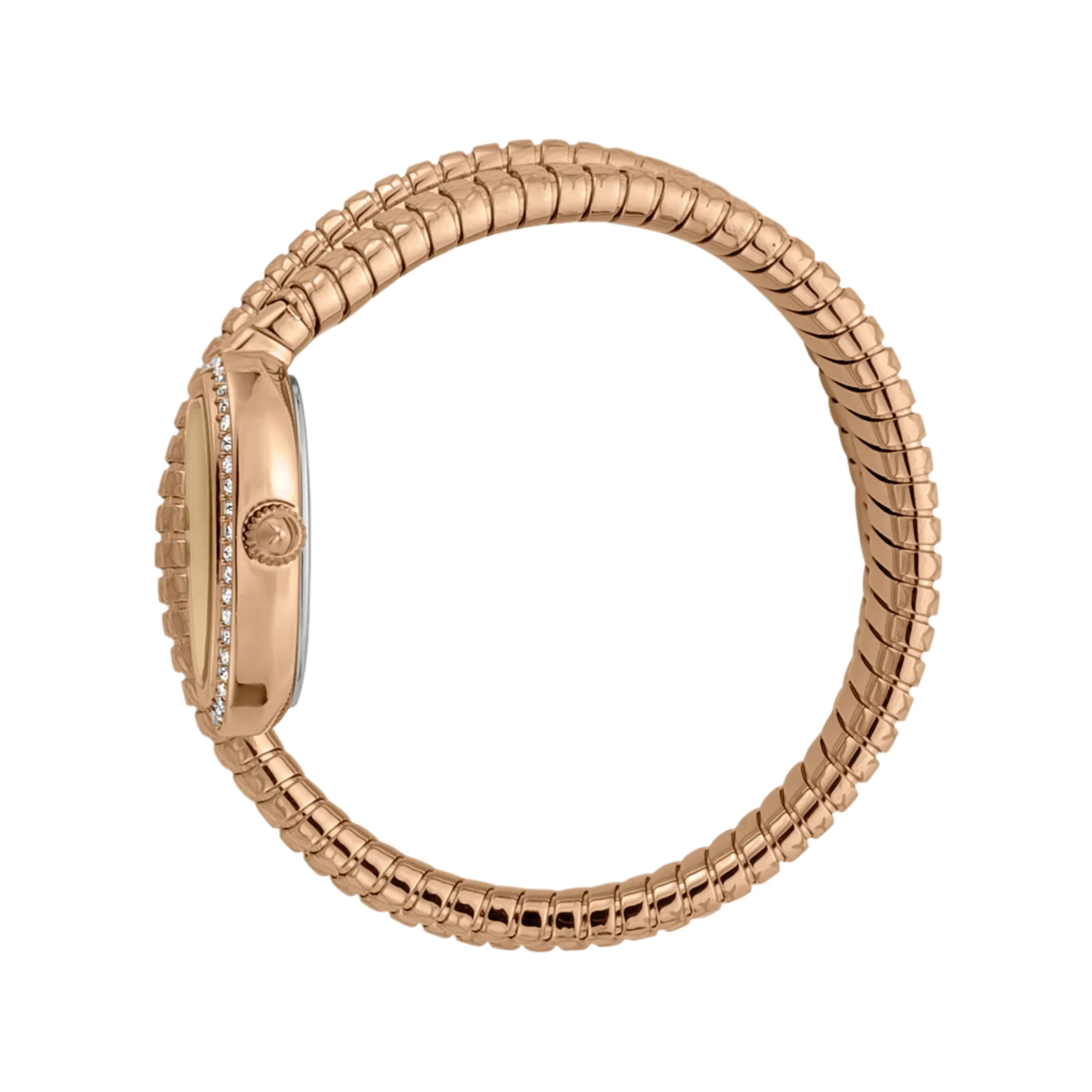 Just Cavalli - JC1L163M0035