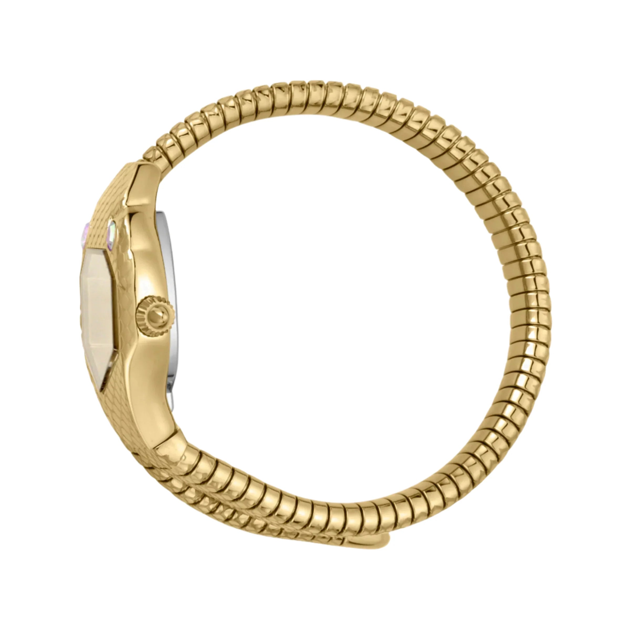 Just Cavalli - JC1L177M0025