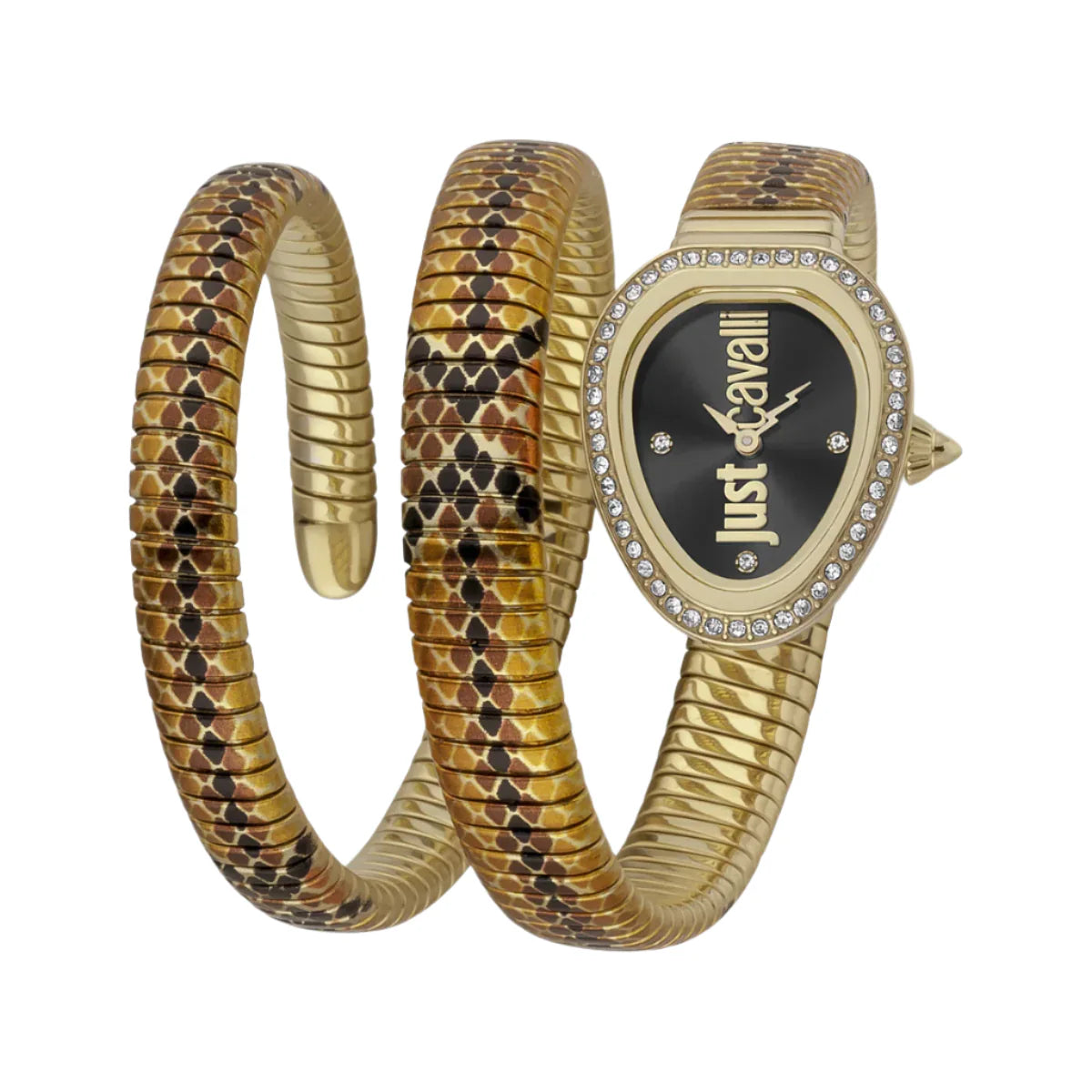 Just Cavalli - JC1L163M0065