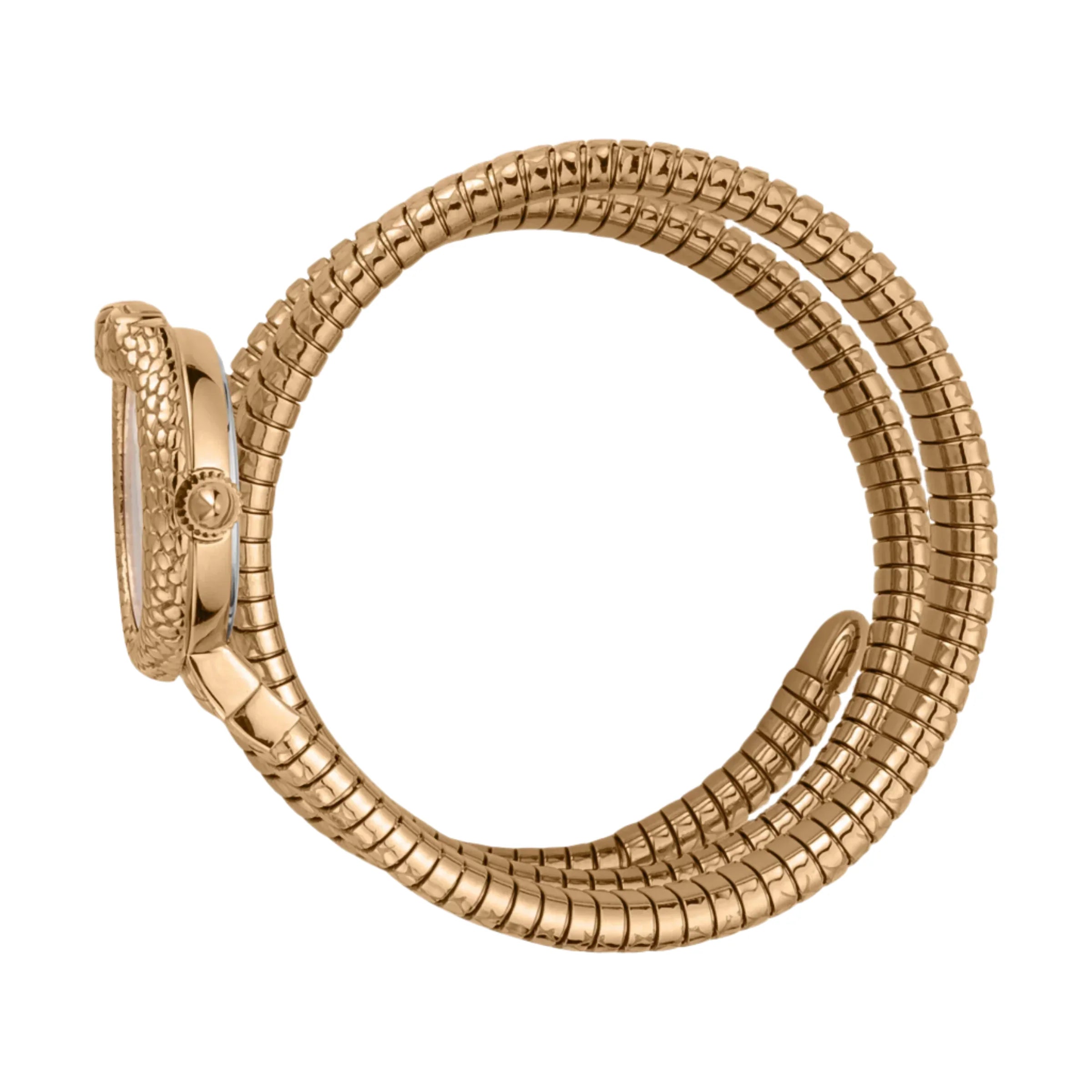 Just Cavalli - JC1L162M0045