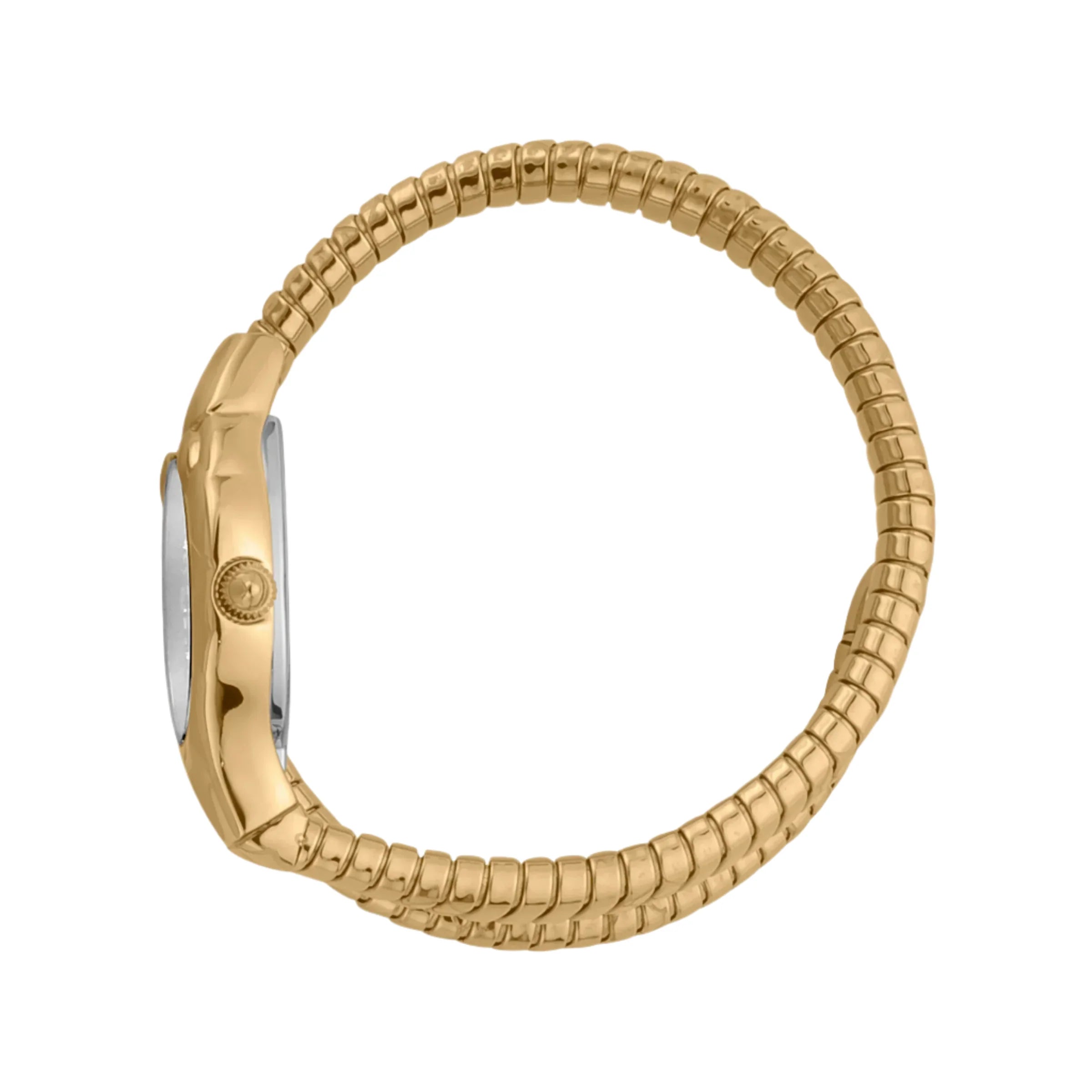 Just Cavalli - JC1L186M0035