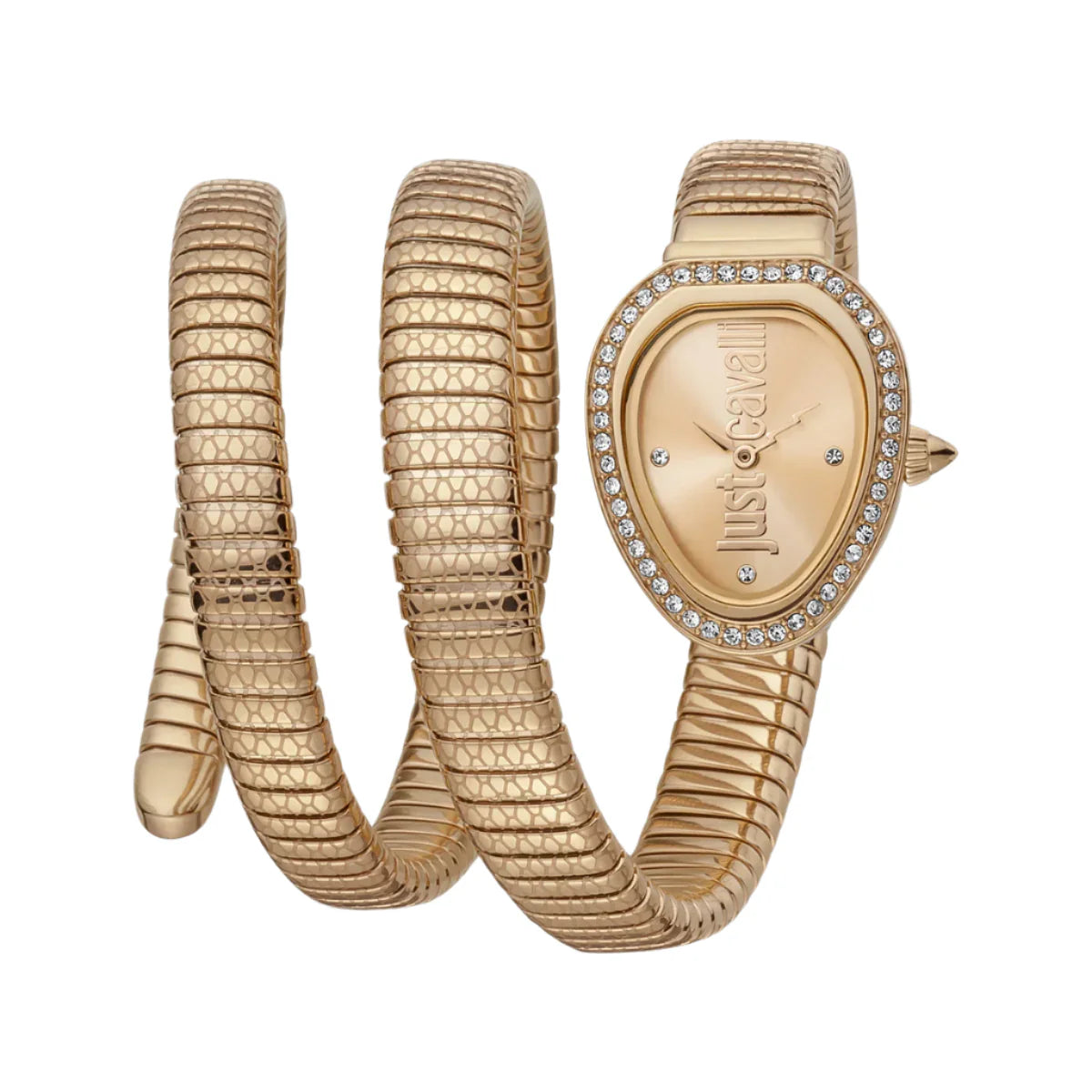 Just Cavalli - JC1L163M0035