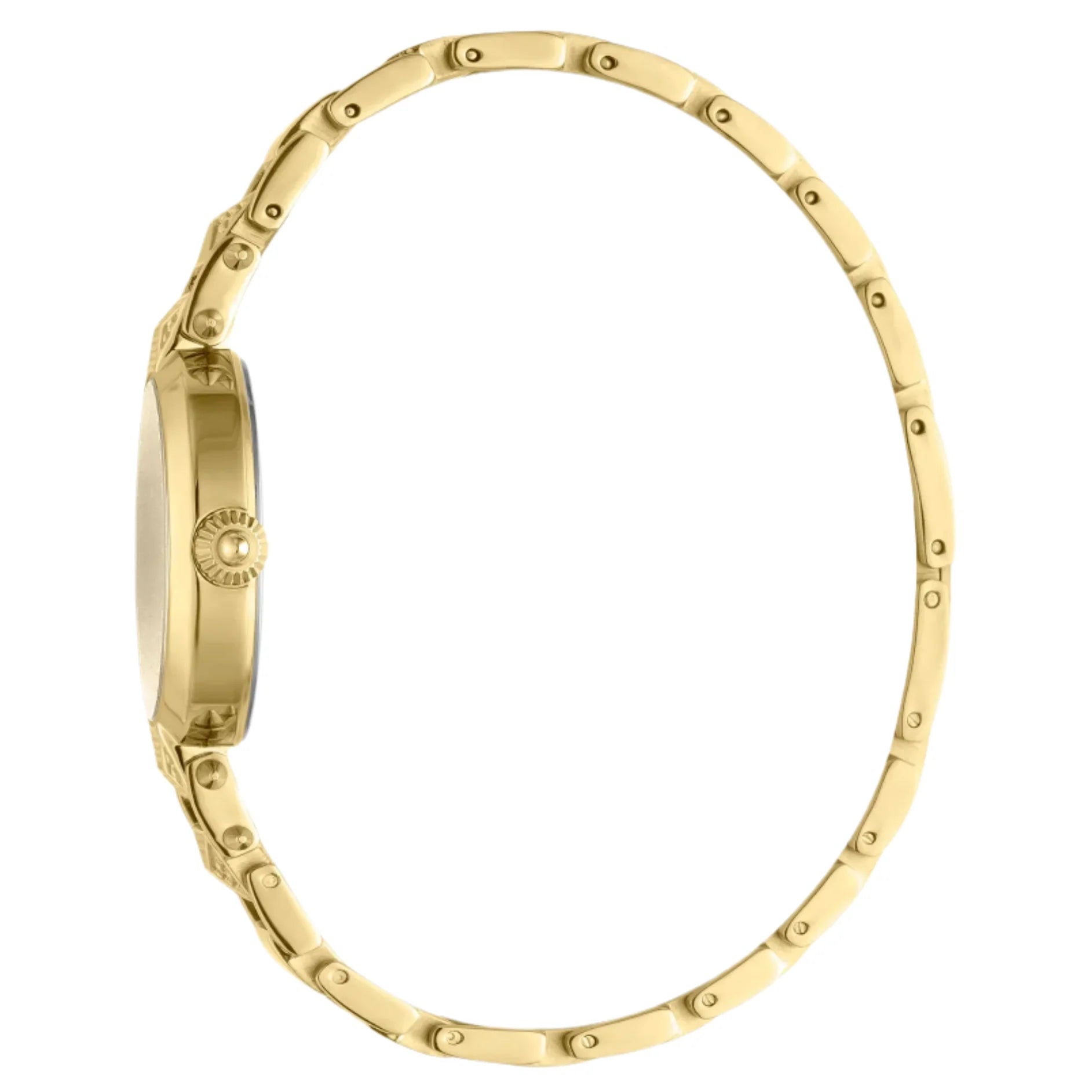 Just Cavalli - JC1L076M0095