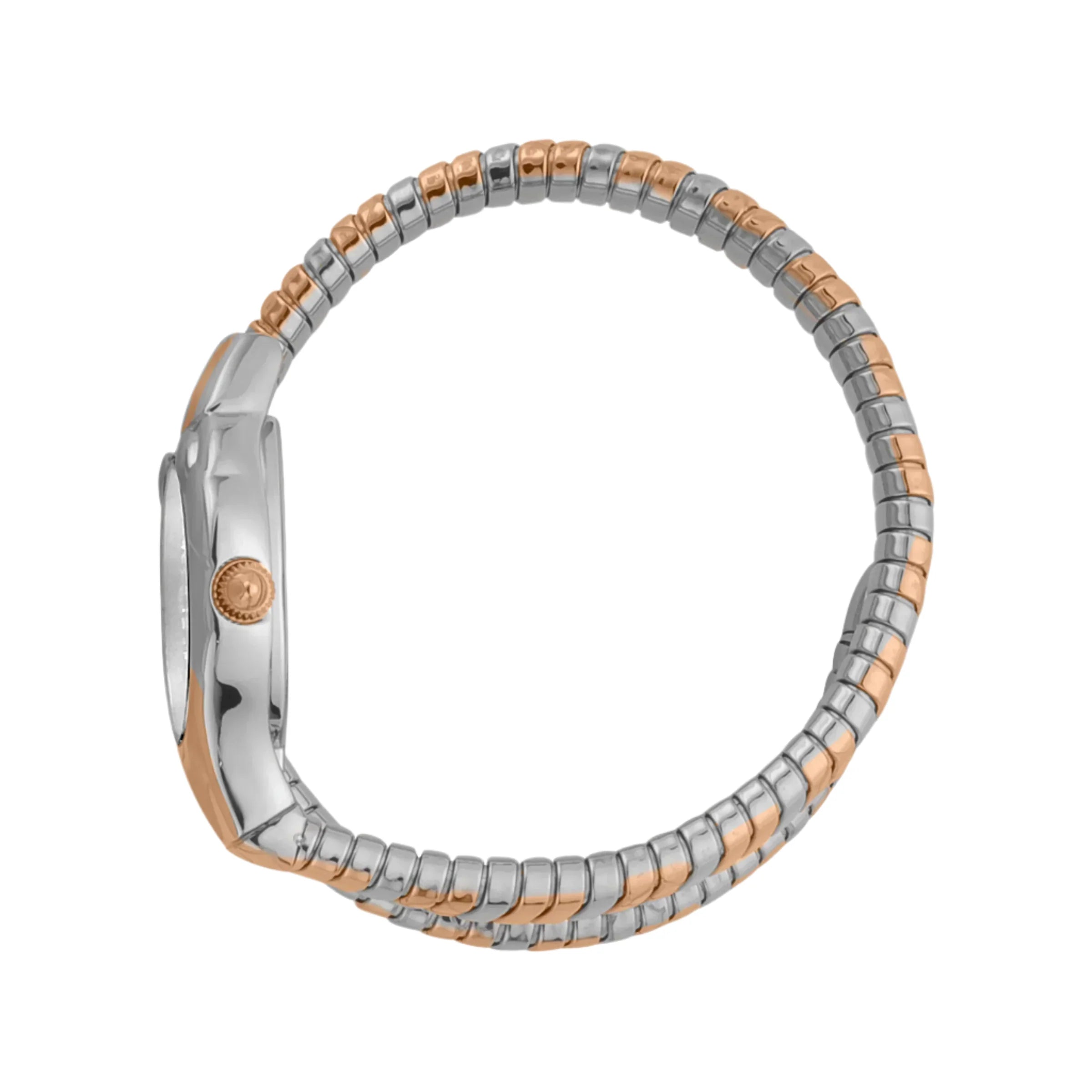 Just Cavalli - JC1L186M0065