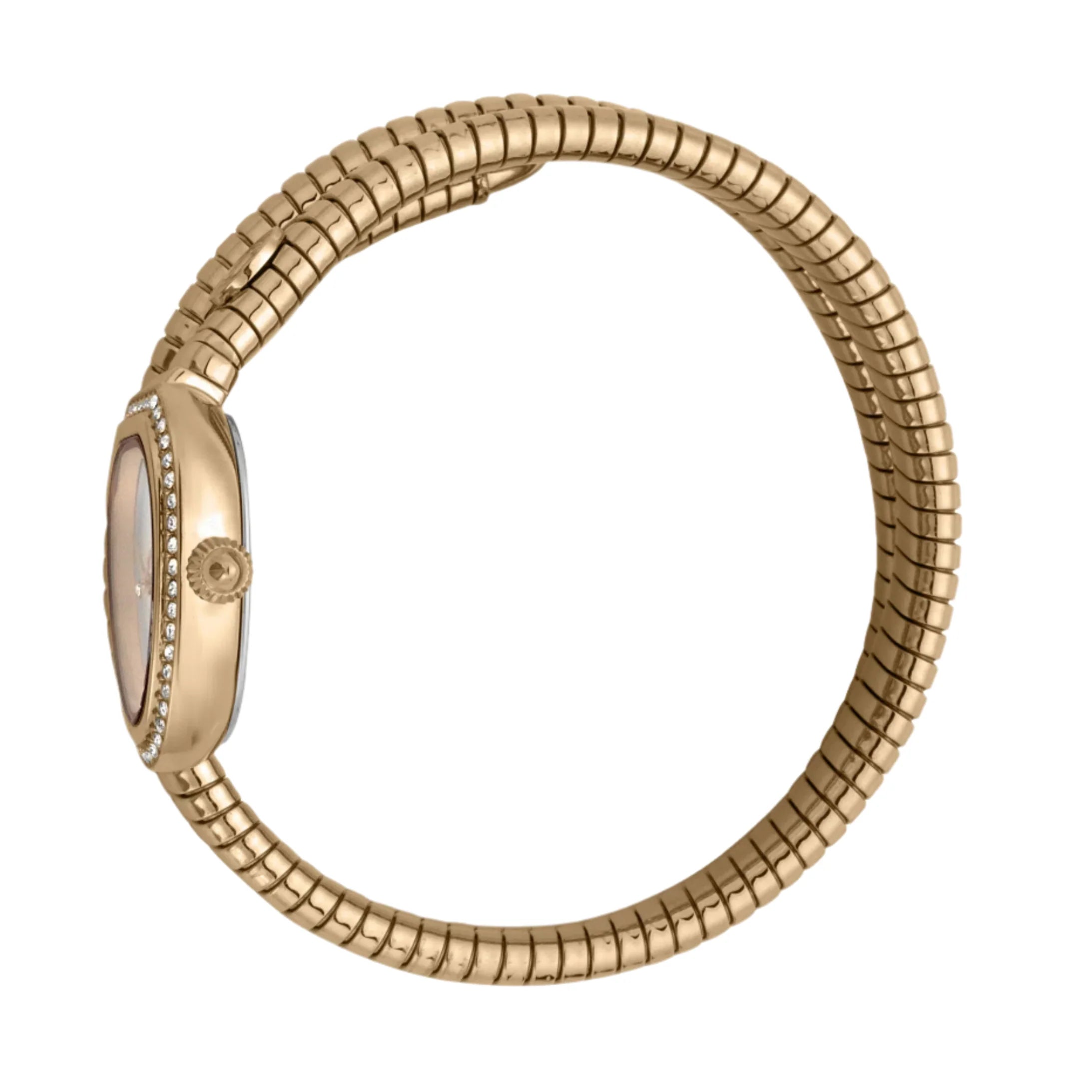 Just Cavalli - JC1L120M0045