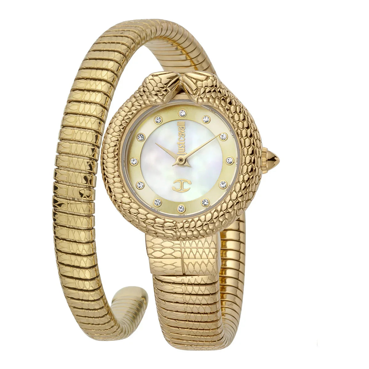 Just Cavalli - JC1L161M0025