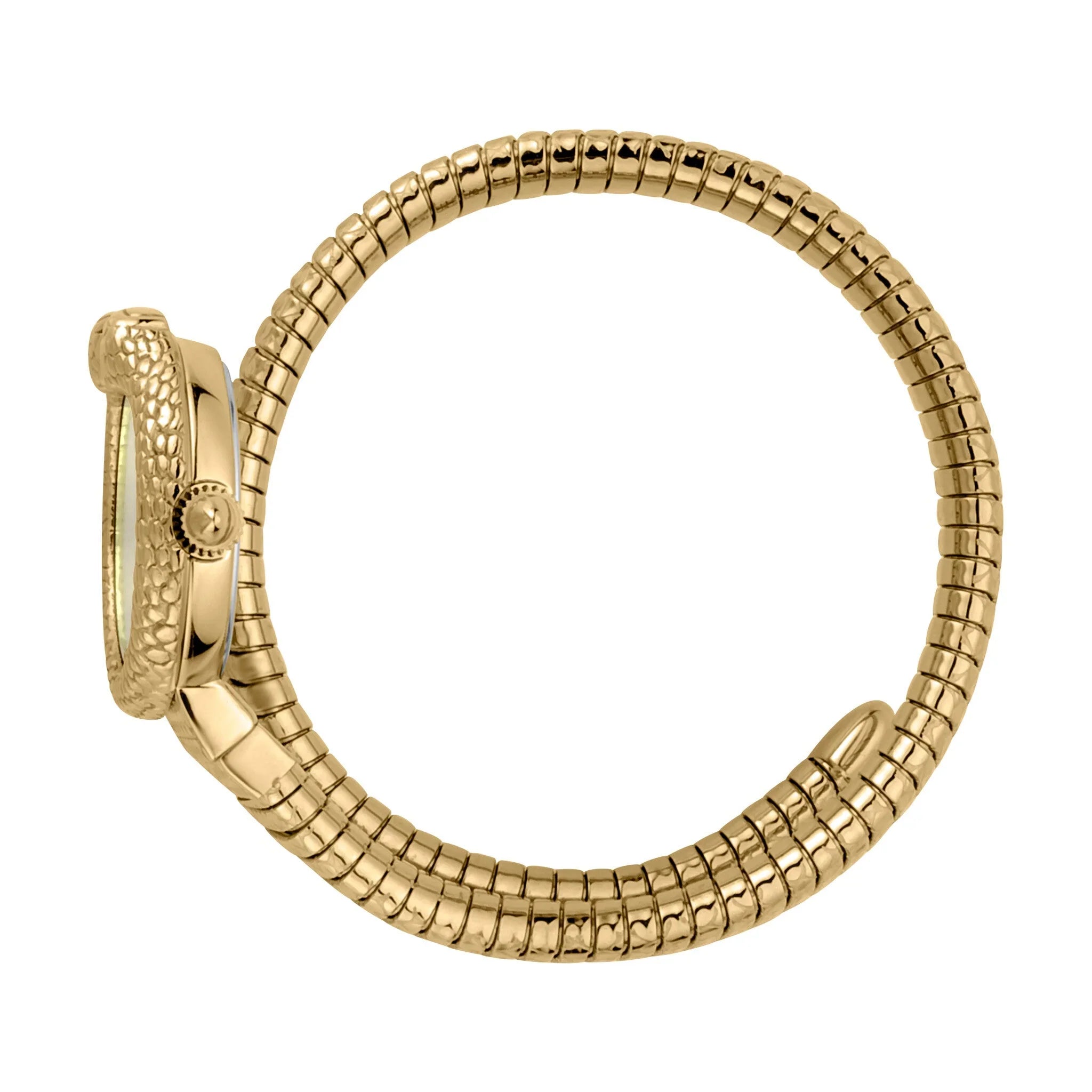 Just Cavalli - JC1L161M0025