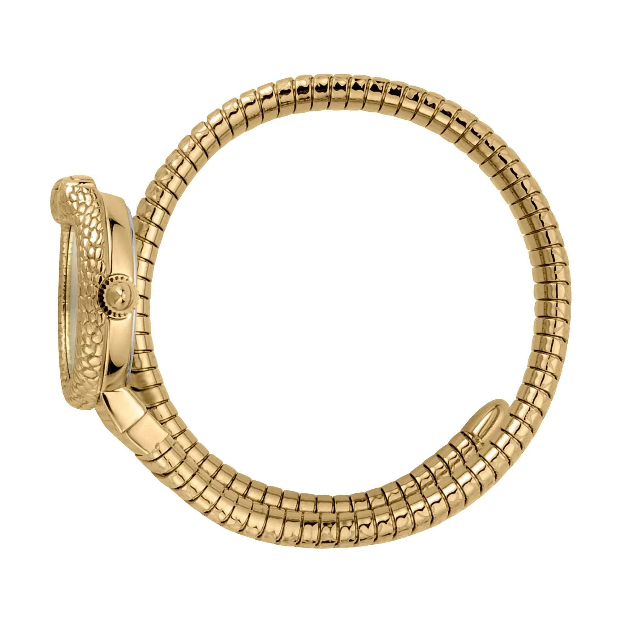 Just Cavalli - JC1L161M0035