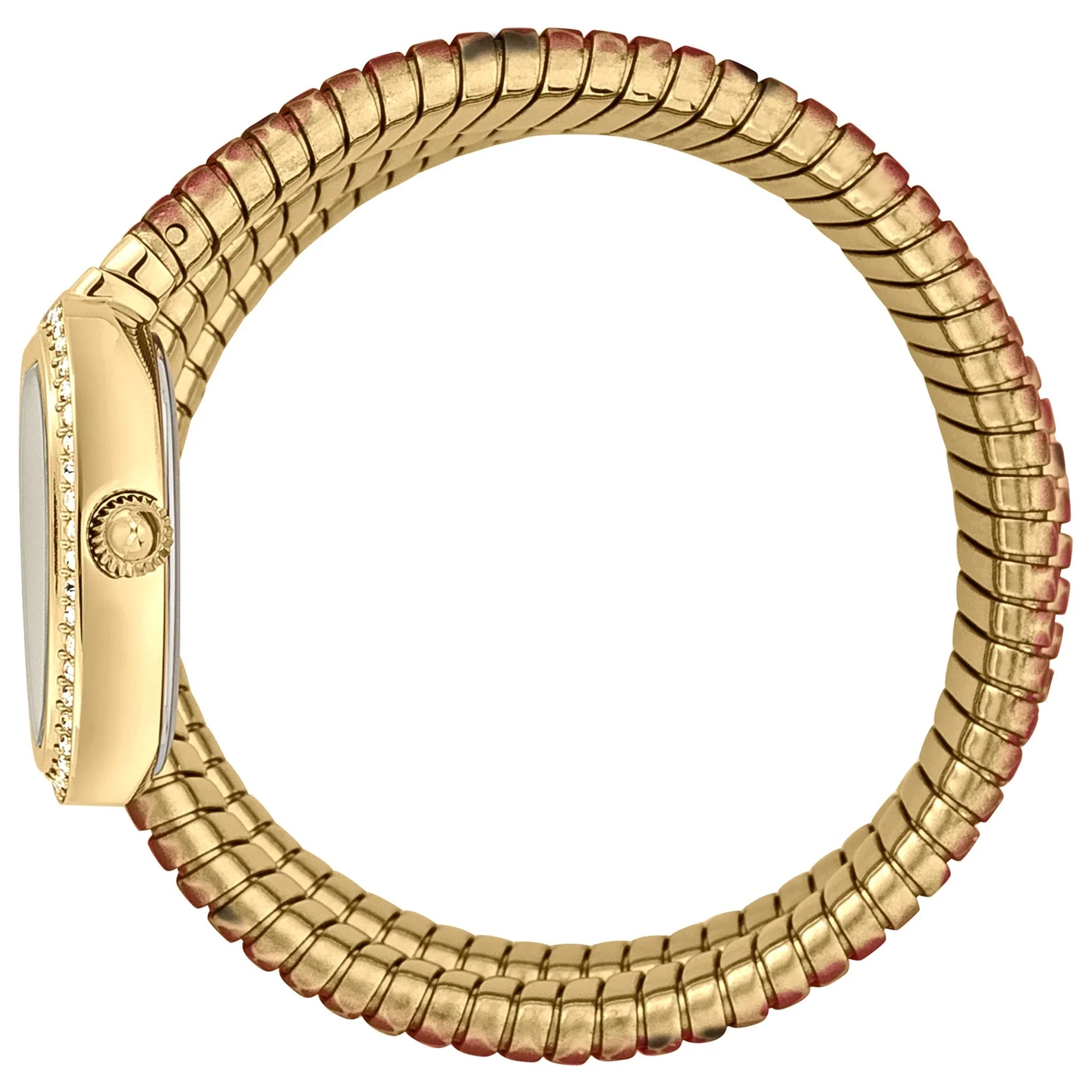 Just Cavalli - JC1L163M0245